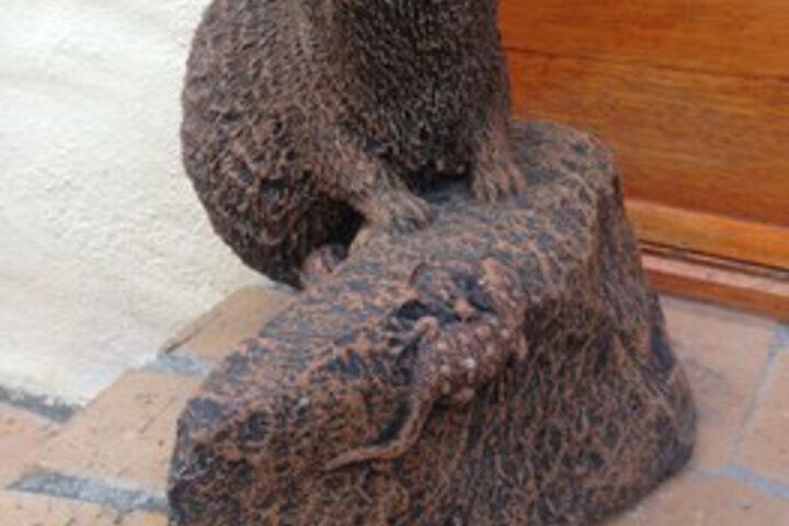 Nat Art Accommodation - thumb 4