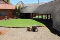 Kalahari Lodge