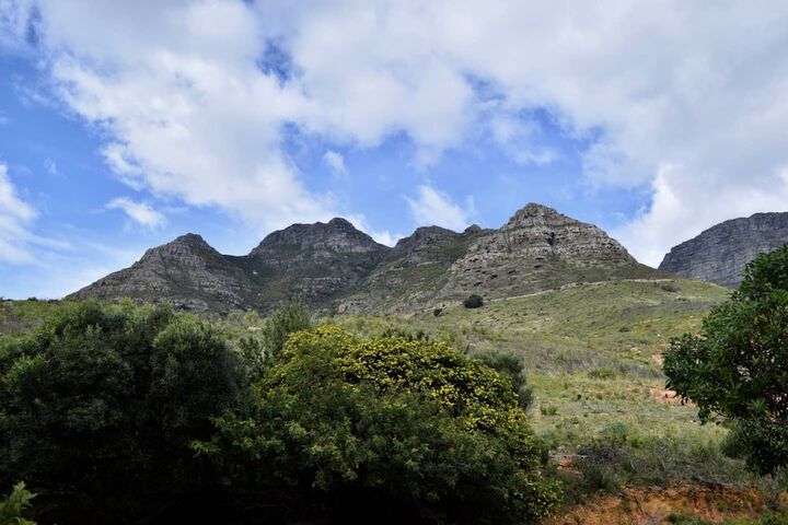 1 Bedroom Disa Park Studio In Vredehoek - thumb 1