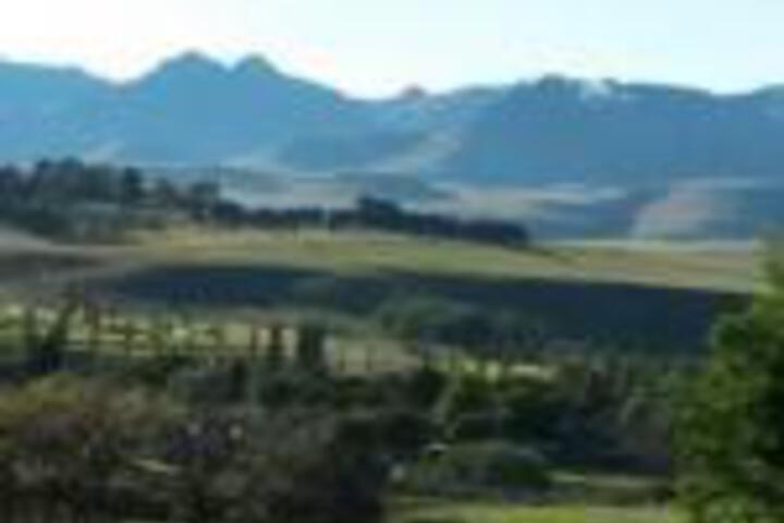 Gentle Presence - thumb 0