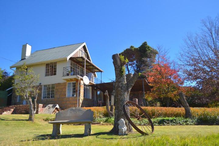 Gentle Presence - thumb 1