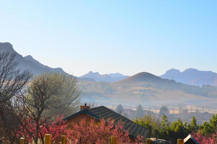 Gentle Presence - thumb 2