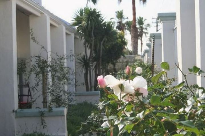 St Bedes Terrace - thumb 5