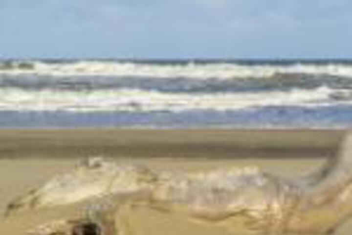 Uitspan South Seas - thumb 0