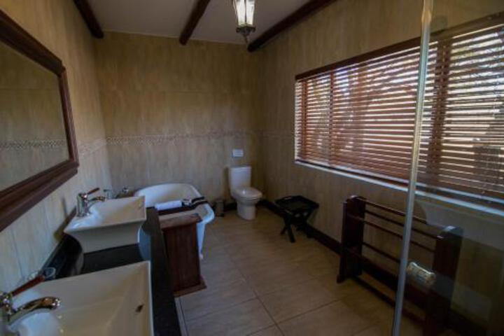 146 Zebula - thumb 3