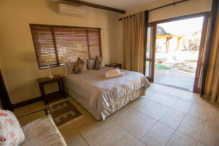 146 Zebula - thumb 7