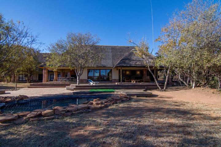 146 Zebula - thumb 6