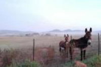 Rusthof Accommodation