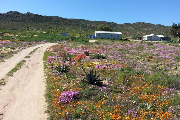 Middelkraal Accommodation - thumb 1