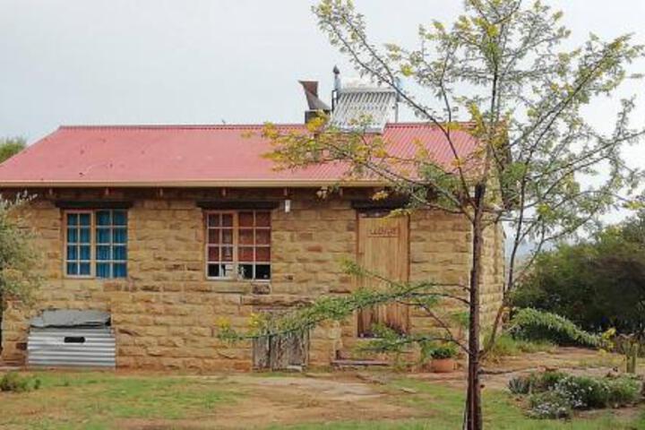 Boomplaats Organic Guest Farm - thumb 2