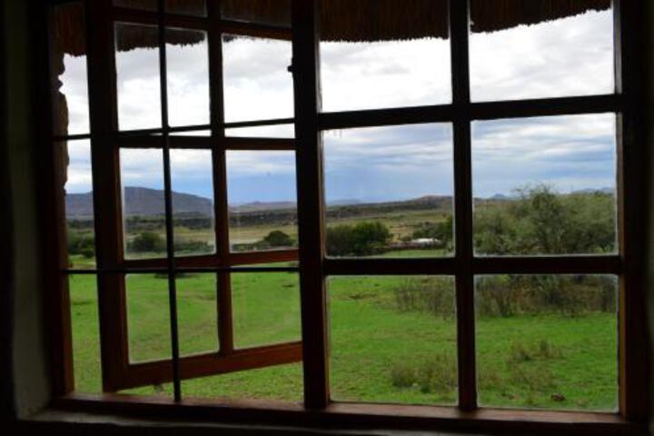 Boomplaats Organic Guest Farm - thumb 1