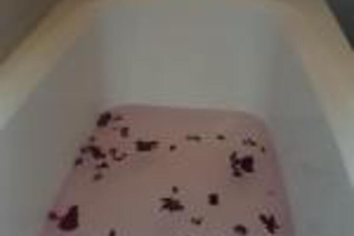 Glenmore Guest House - thumb 0