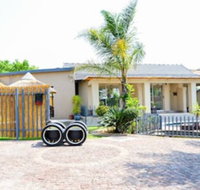 Bosveld In Die Stad - Tourism Africa