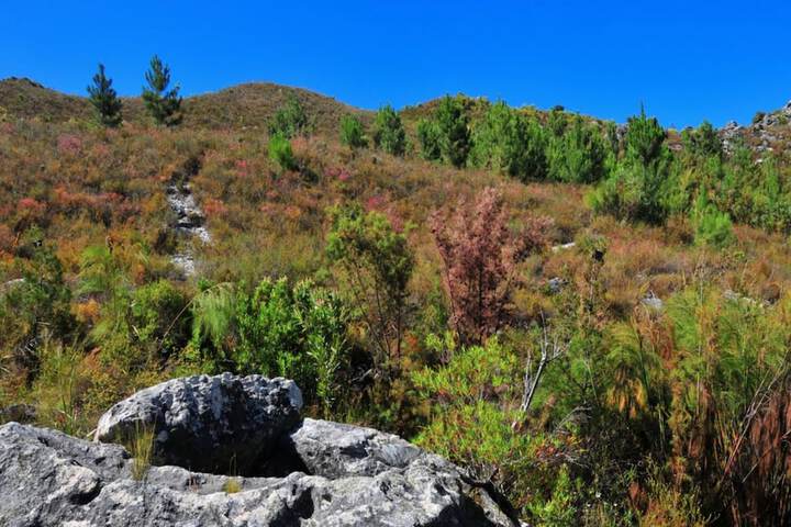 Executive Couples Suite Strand - thumb 4