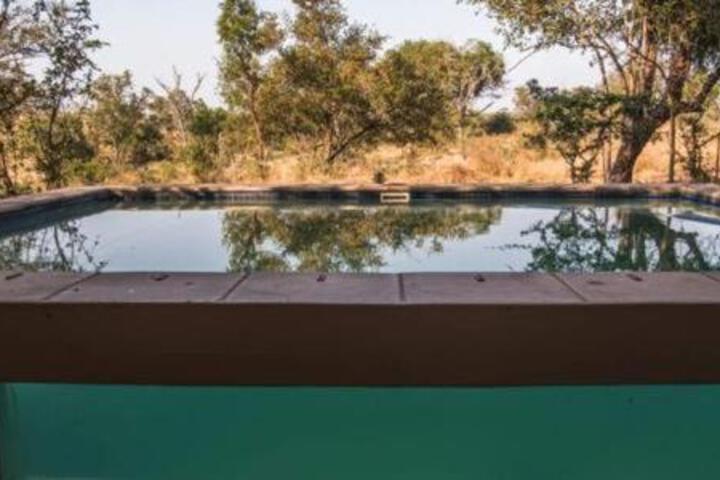 Leadwood Lodge - thumb 6