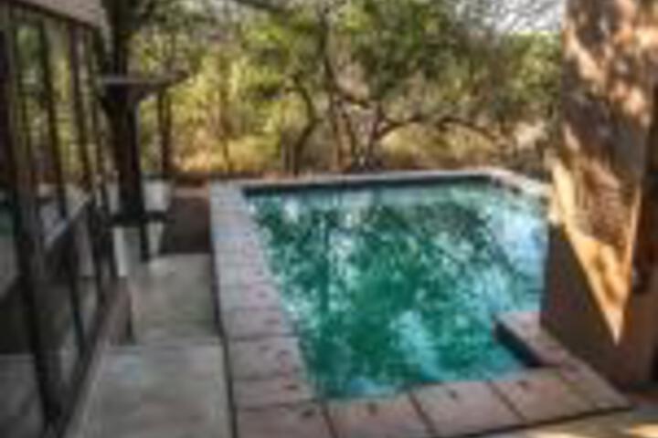 Leadwood Lodge - thumb 0