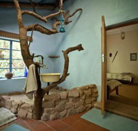 Kurisa Moya Nature Lodge - Accommodation Africa