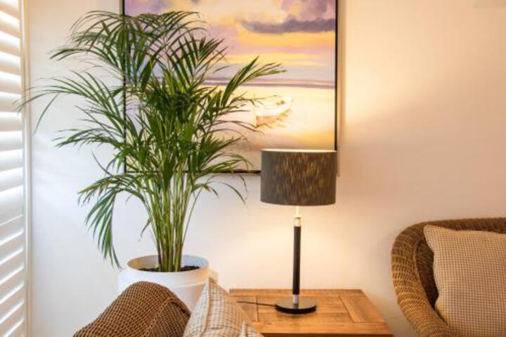 202 Ben Siesta - thumb 5