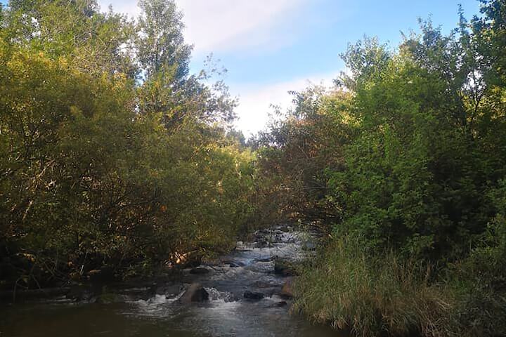 D & H Guesthouse - thumb 2