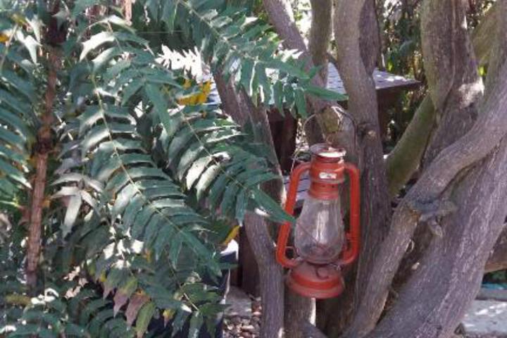 Pennylane Guest House - thumb 5