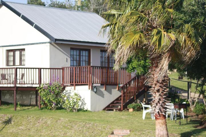 Hakuna Matata - thumb 7