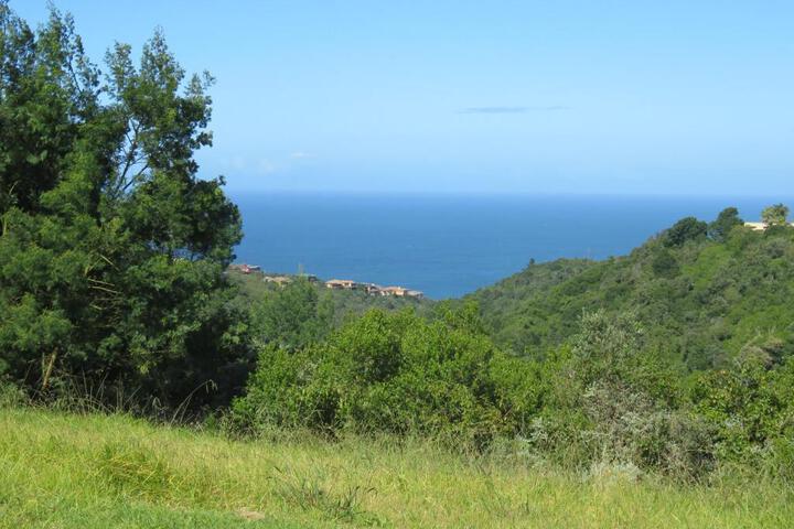 Hakuna Matata - thumb 5