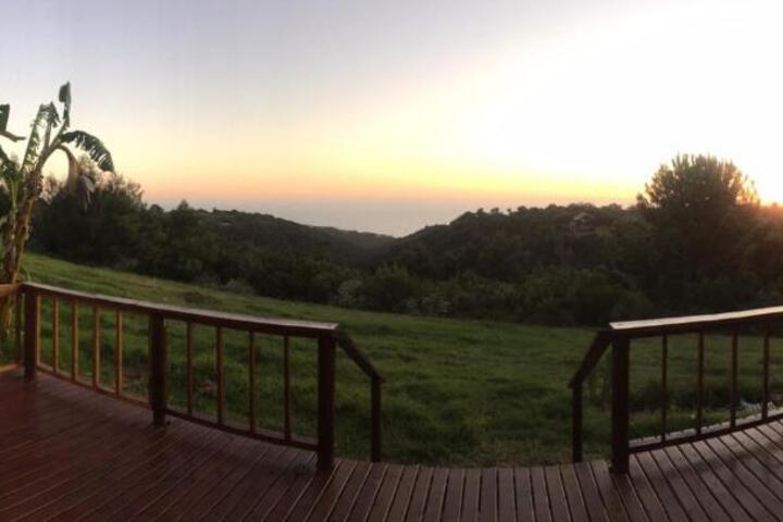 Hakuna Matata - thumb 4