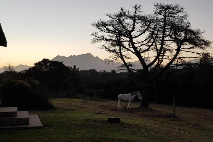 Hakuna Matata - thumb 2