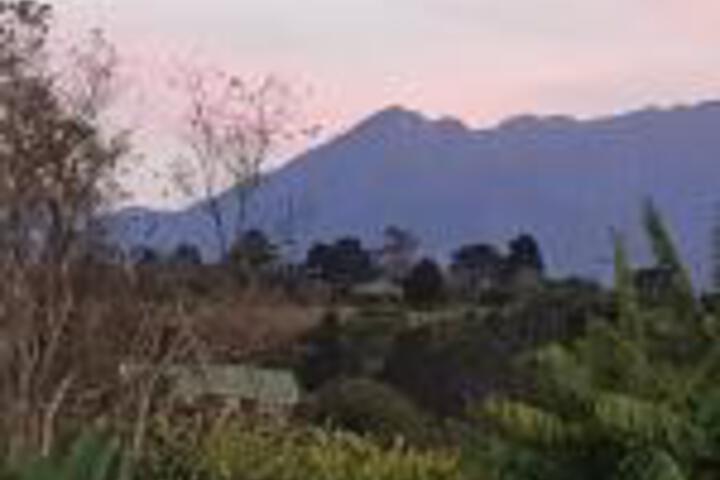 Hakuna Matata - thumb 0