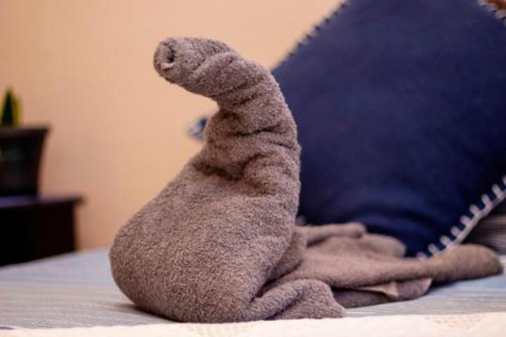 Silver Swan Accommodation - thumb 1