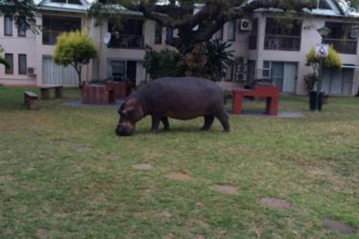 62 The Bridge Holiday Resort - thumb 3