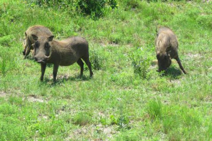 62 The Bridge Holiday Resort - thumb 1