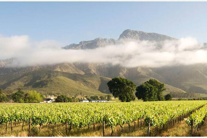 Audreys Vineyard Cottage & Homestead - thumb 7