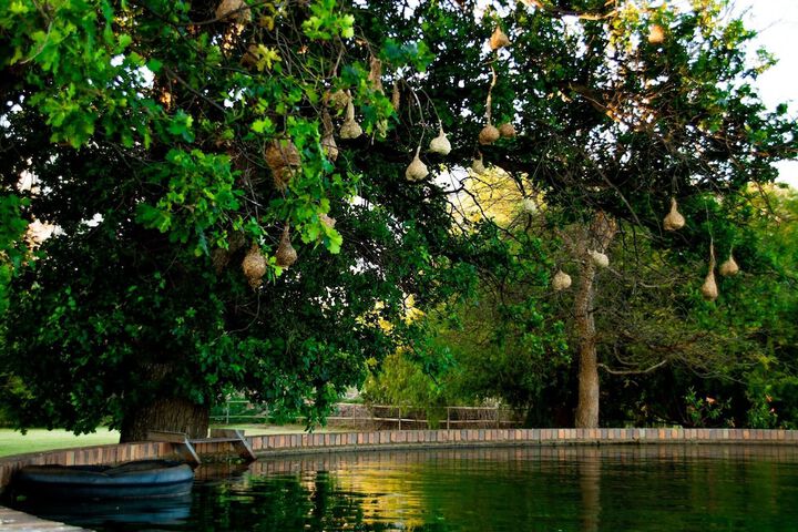 Audreys Vineyard Cottage & Homestead - thumb 6