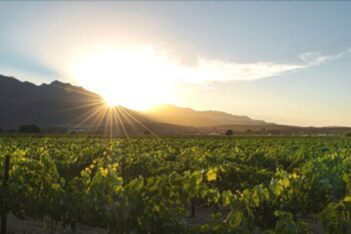 Audreys Vineyard Cottage & Homestead - thumb 1