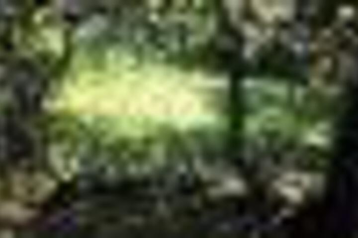 Raka Cottage - thumb 3