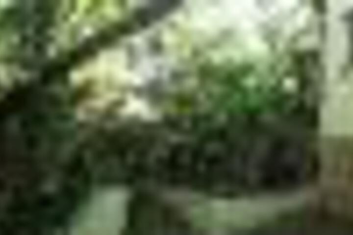 Raka Cottage - thumb 4