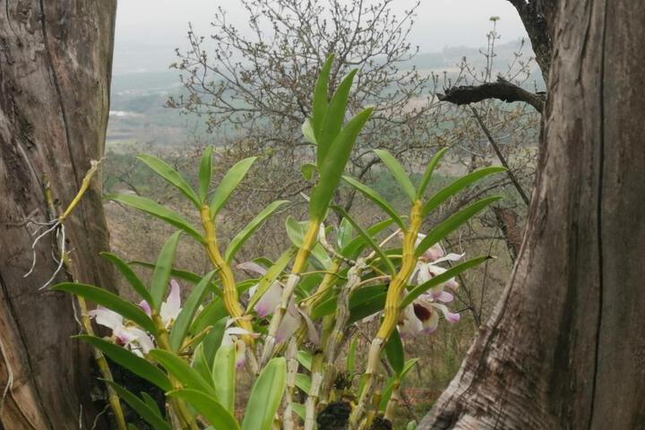 Eloff Guest House & Gallery - thumb 6