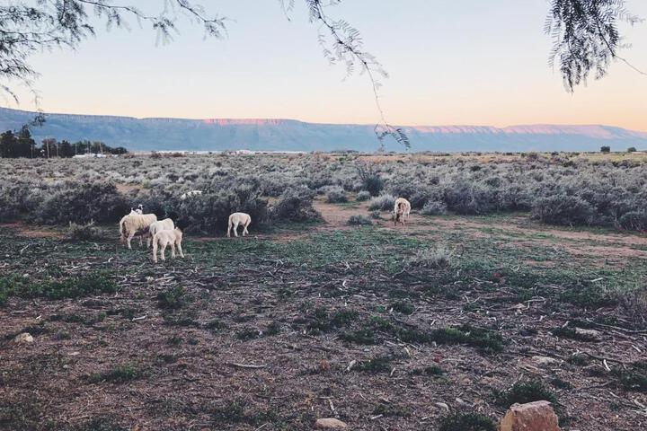 Die Lemoenhuis - thumb 5