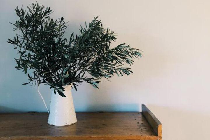 Die Lemoenhuis - thumb 3