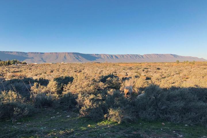 Die Lemoenhuis - thumb 7