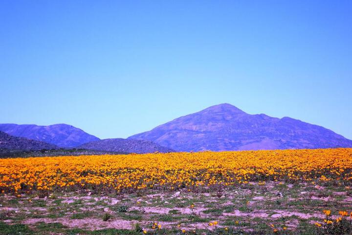 Verbe Farm Accommodation - thumb 5