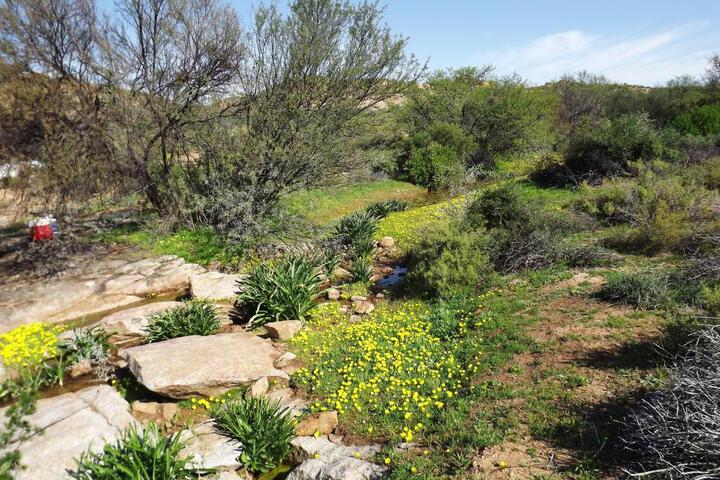 Verbe Farm Accommodation - thumb 3