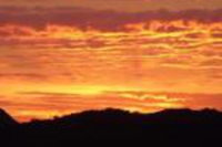 Verbe Farm Accommodation