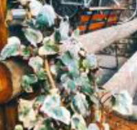 Ou Klipskuur Self Catering Accommodation - Accommodation Africa