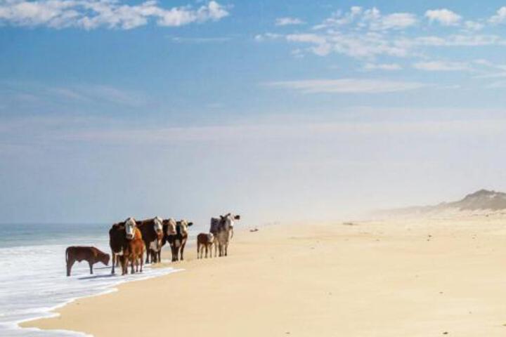 Wamakersvlei Beach Farm - thumb 3