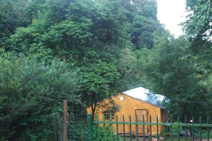 Isikhoma Khoma - thumb 6