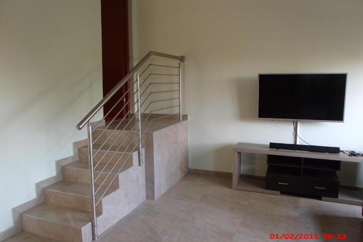 Chalet No.1 Primula - thumb 3