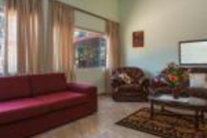 Chalet No.1 Primula - thumb 0