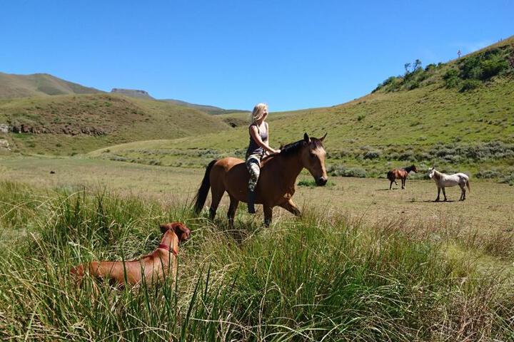 Amanzi Empilo Bungalow - thumb 2